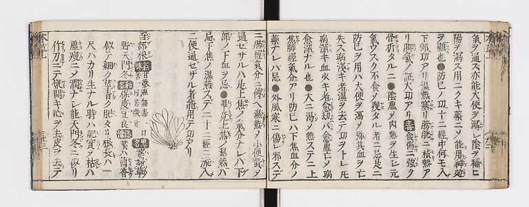 K0133s0037