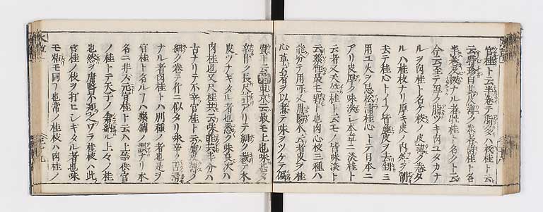 K0133s0053
