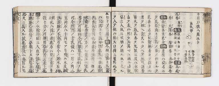 K0133s0057