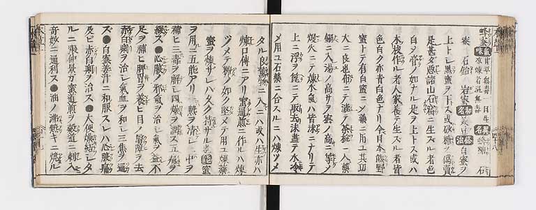 K0133s0063
