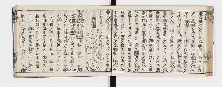 K0133s0064