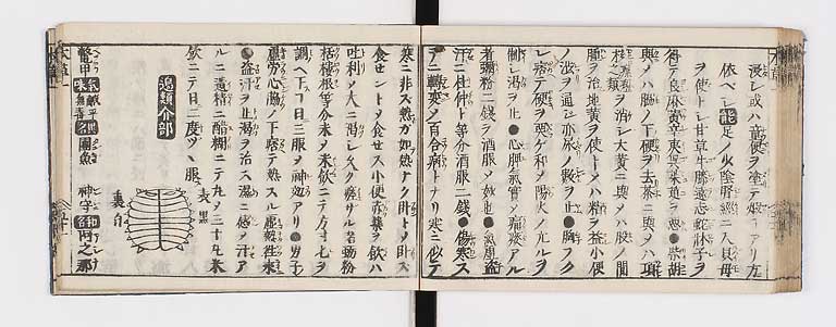 K0133s0065