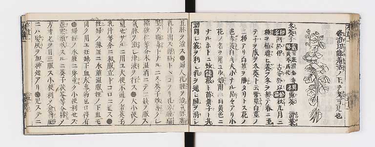 K0133s0067