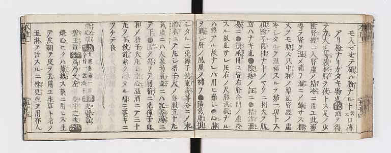 K0133s0069