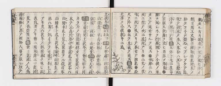K0133s0070