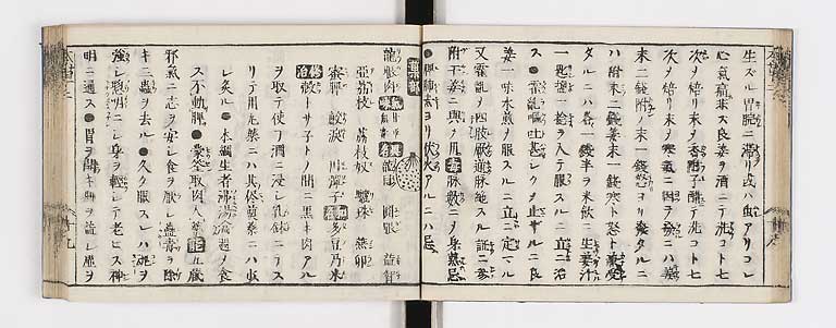 K0133s0097