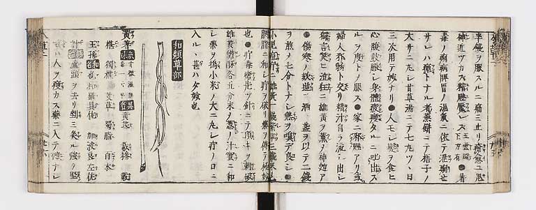K0133s0104