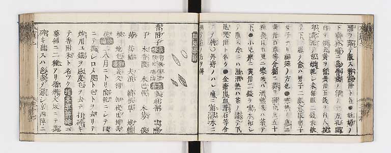 K0133s0115