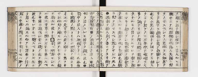 K0133s0121