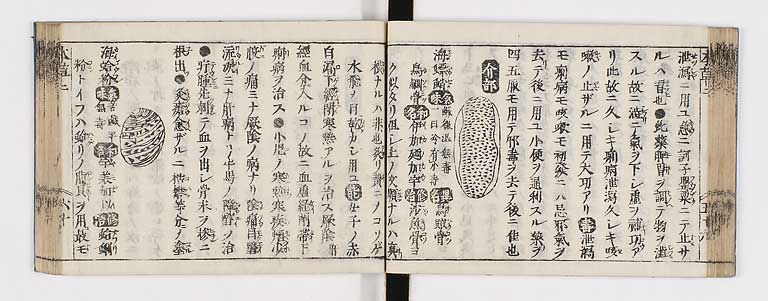 K0133s0138