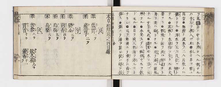 K0133s0175