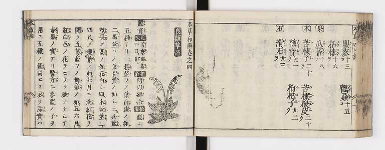 K0133s0176