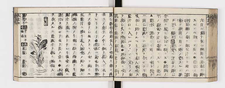 K0133s0177