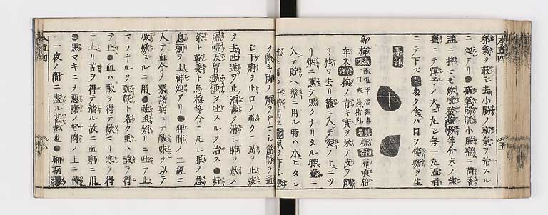 K0133s0181