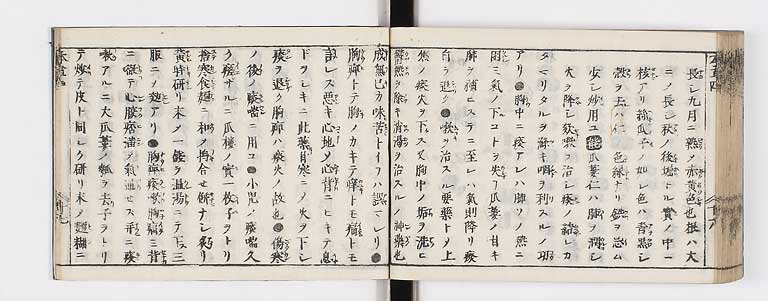 K0133s0192