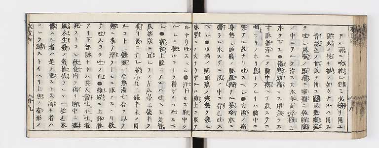 K0133s0194