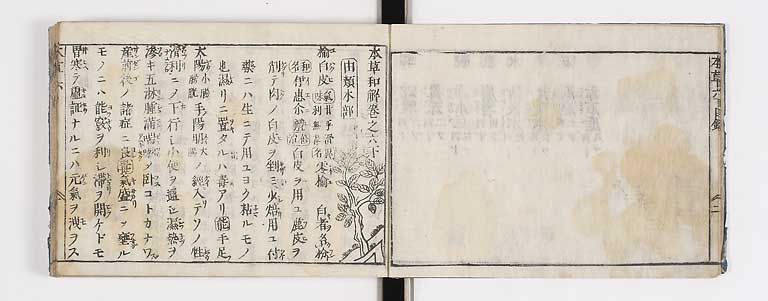K0133s0205