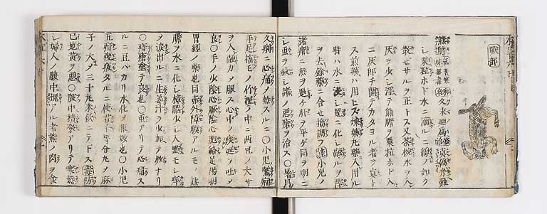 K0133s0206