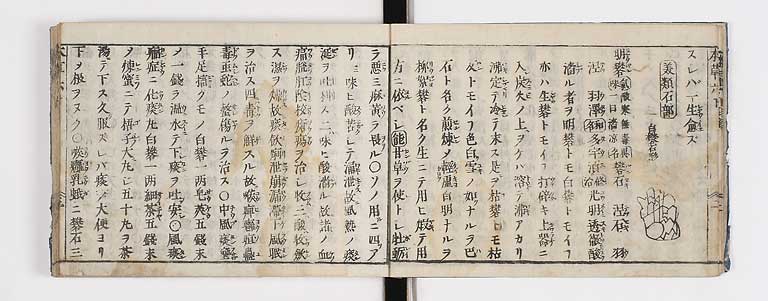 K0133s0207