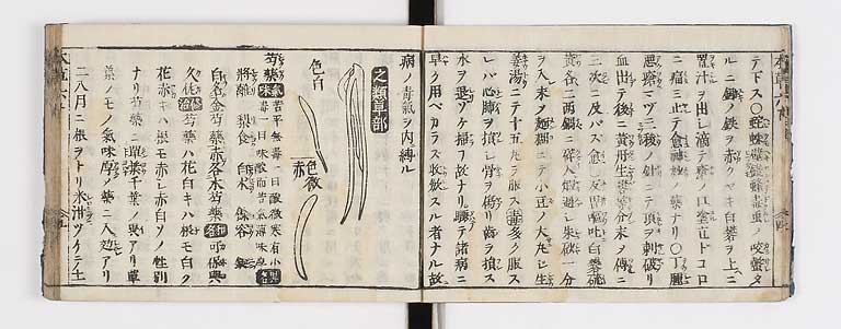 K0133s0209