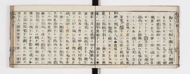 K0133s0210