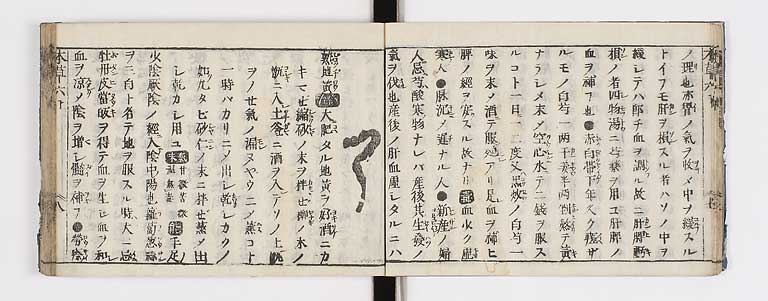 K0133s0212