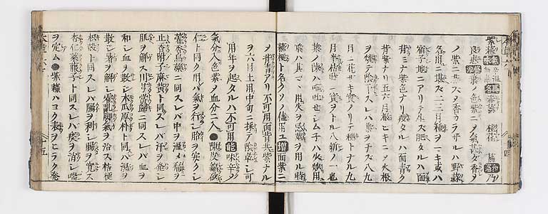 K0133s0219