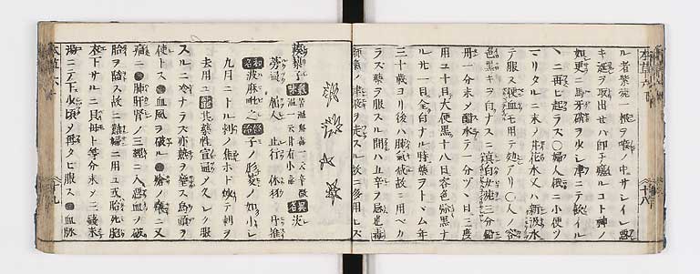 K0133s0223