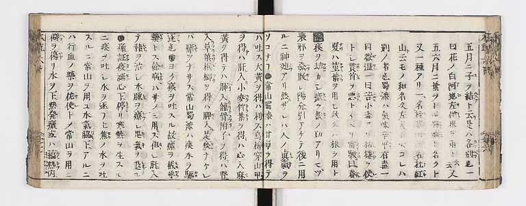 K0133s0231