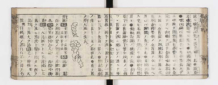 K0133s0233