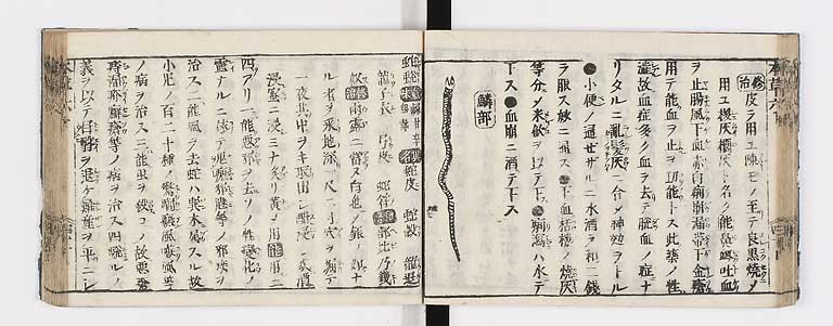 K0133s0245