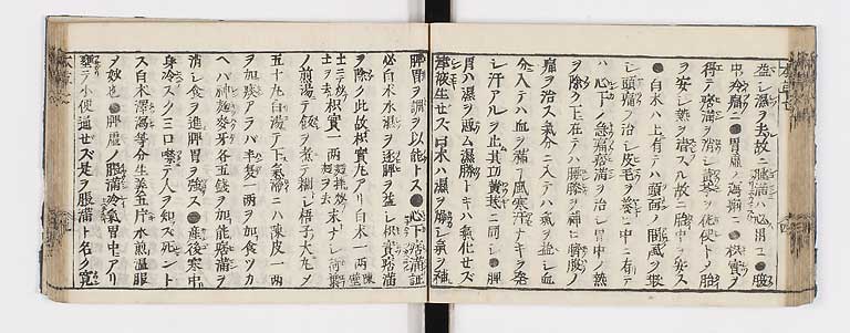 K0133s0260