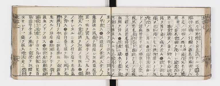 K0133s0262