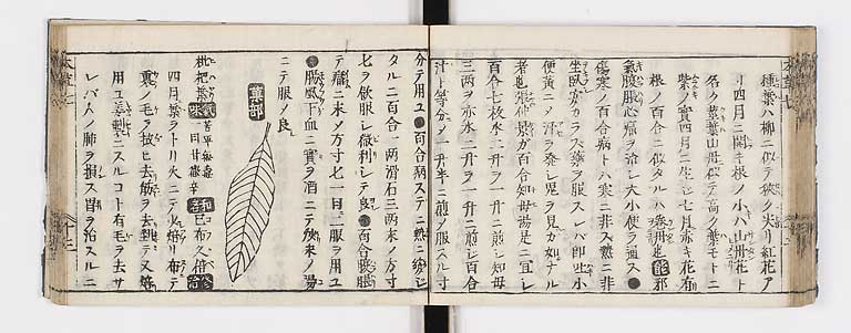 K0133s0268