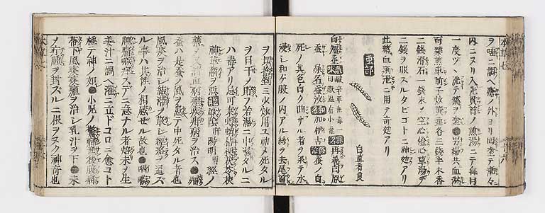 K0133s0272