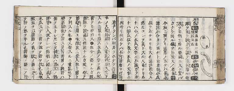 K0133s0278