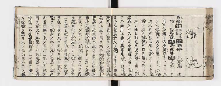 K0133s0290