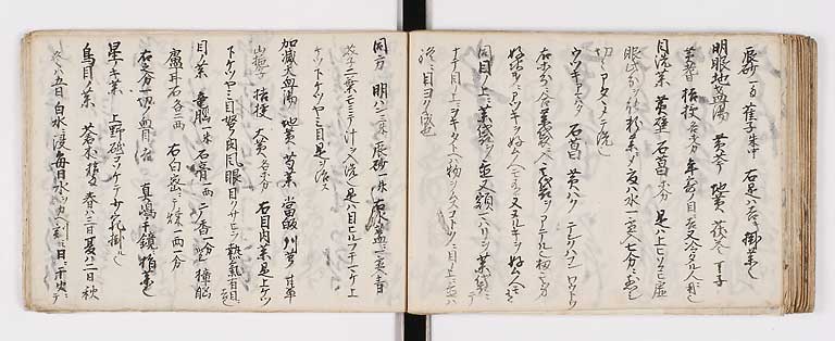 K0134s0033