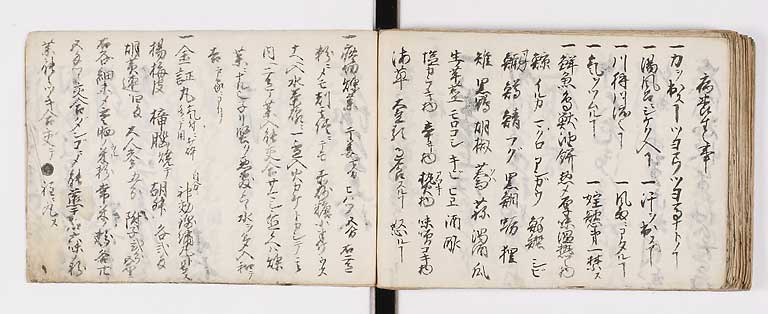 K0134s0049