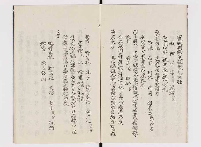 K0137s0011