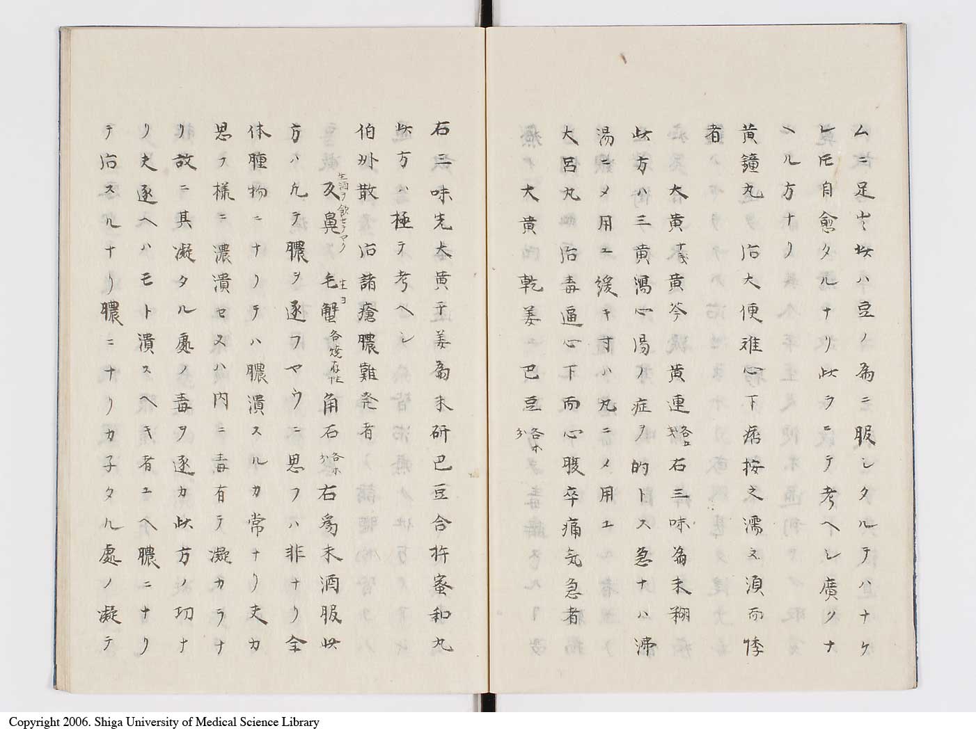 K0138l0010