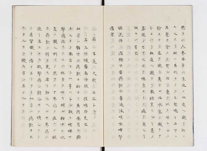 K0138s0004