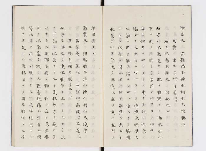 K0138s0005