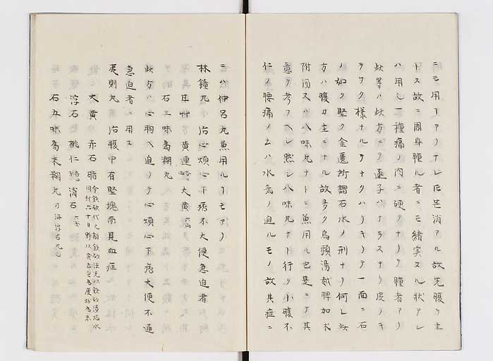 K0138s0006