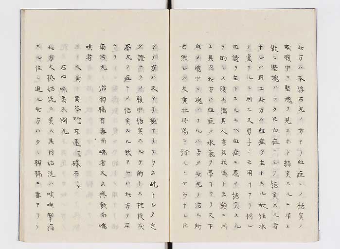 K0138s0007
