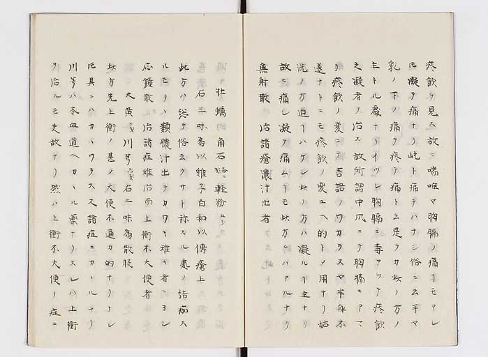 K0138s0008