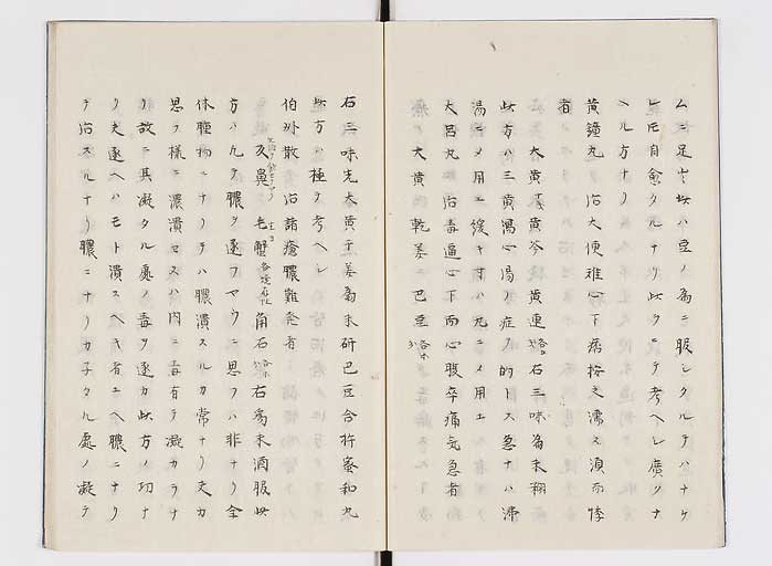 K0138s0010