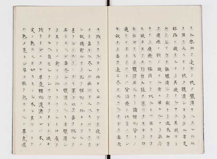 K0138s0011