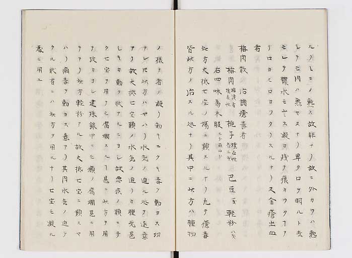 K0138s0012