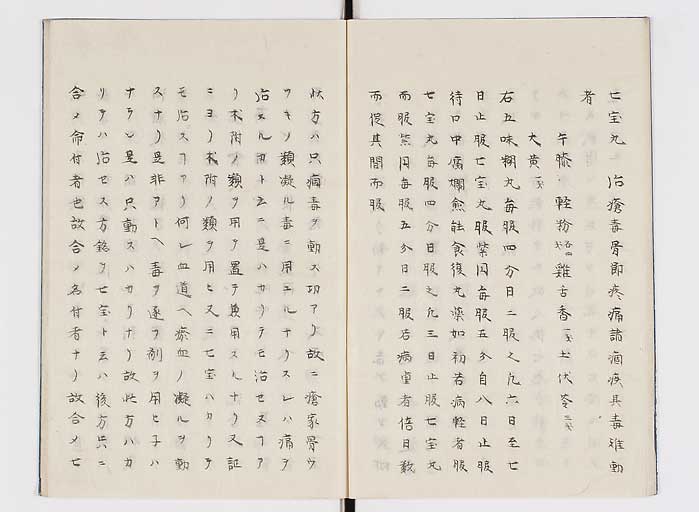 K0138s0013